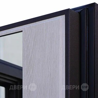 Входная металлическая Дверь Шелтер (SHELTER) Филадельфия Зеркало в Жуковский