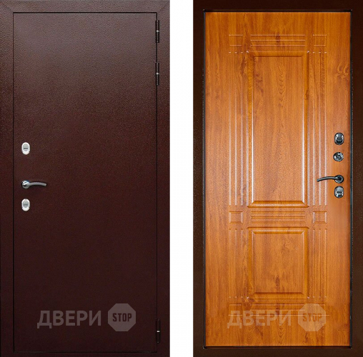 Дверь Аргус Тепло-1 в Жуковский