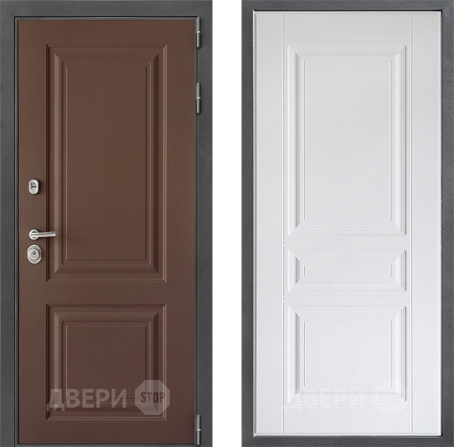 Входная металлическая Дверь Дверной континент ДК-3/729 ФЛ-243 Альберо Браш серебро в Жуковский