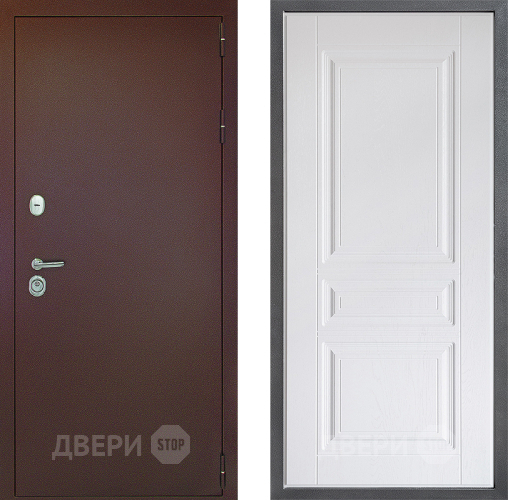 Входная металлическая Дверь Дверной континент Рубикон Медь Дизайн ФЛ-243 Альберо Браш серебро в Жуковский