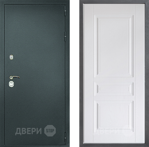 Входная металлическая Дверь Дверной континент Рубикон Серебро Дизайн ФЛ-243 Альберо Браш серебро в Жуковский