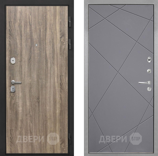 Входная металлическая Дверь Интекрон (INTECRON) Гектор Дуб Турин Лучи-М Графит софт в Жуковский