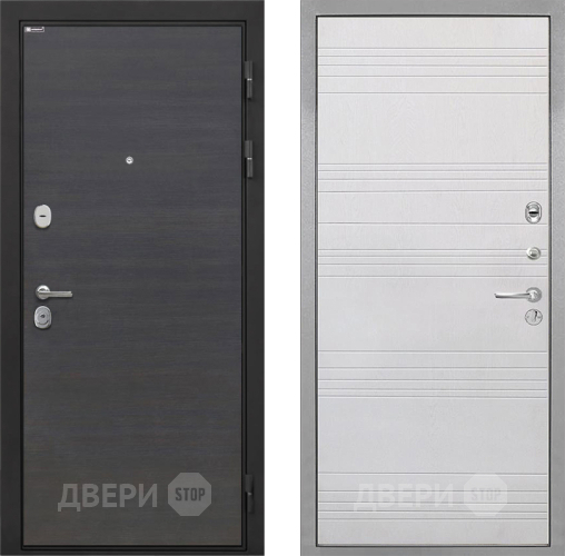 Входная металлическая Дверь Интекрон (INTECRON) Гектор Эковенге ФЛ-316 Белый ясень в Жуковский