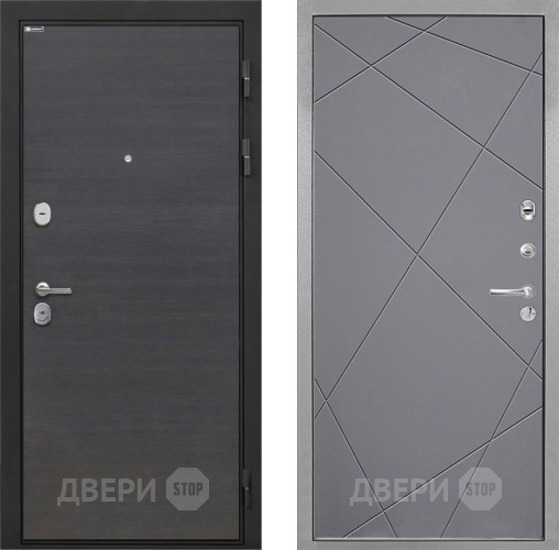 Входная металлическая Дверь Интекрон (INTECRON) Гектор Эковенге Лучи-М Графит софт в Жуковский