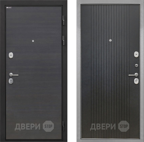 Входная металлическая Дверь Интекрон (INTECRON) Гектор Эковенге ФЛ-295 Лофт черный в Жуковский