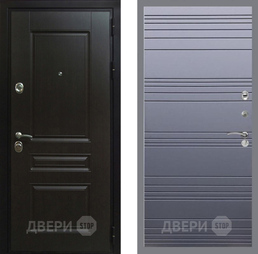 Входная металлическая Дверь Рекс (REX) Премиум-Н Line Силк титан в Жуковский
