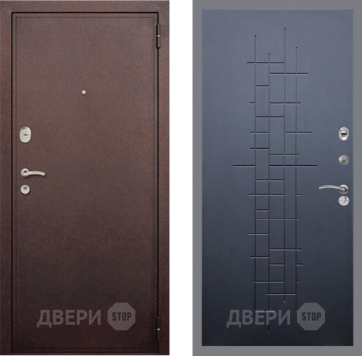 Входная металлическая Дверь Рекс (REX) 2 Медный Антик FL-289 Ясень черный в Жуковский