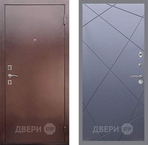 Входная металлическая Дверь Рекс (REX) 1 FL-291 Силк титан в Жуковский