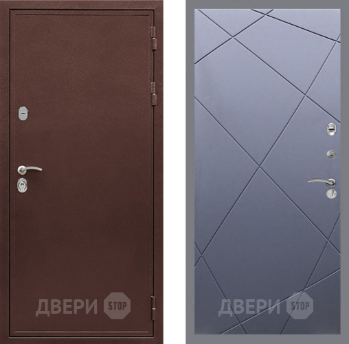 Дверь Рекс (REX) 5 металл 3 мм FL-291 Силк титан в Жуковский