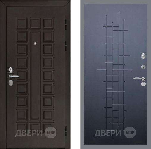 Входная металлическая Дверь Рекс (REX) Сенатор Cisa FL-289 Ясень черный в Жуковский