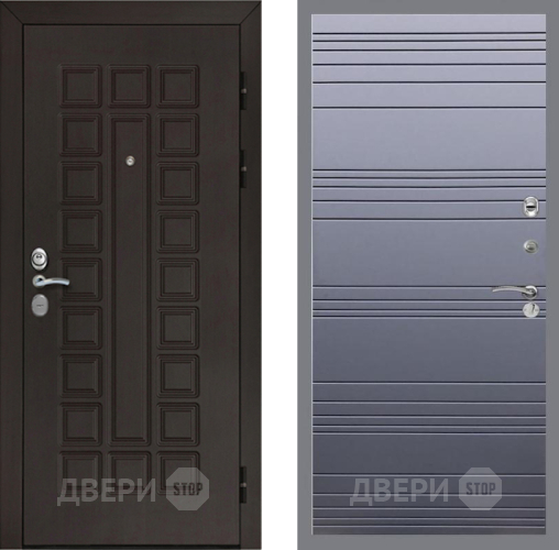 Входная металлическая Дверь Рекс (REX) Сенатор Cisa Line Силк титан в Жуковский